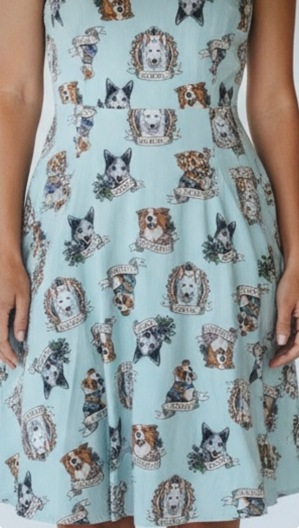 Dangerfield. Size 10. Champion Dog Print